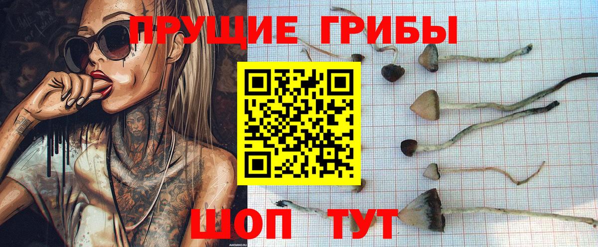 Менделеевск  Галлюциногенные грибы мицелий  наркотики  Вход с VPN 
